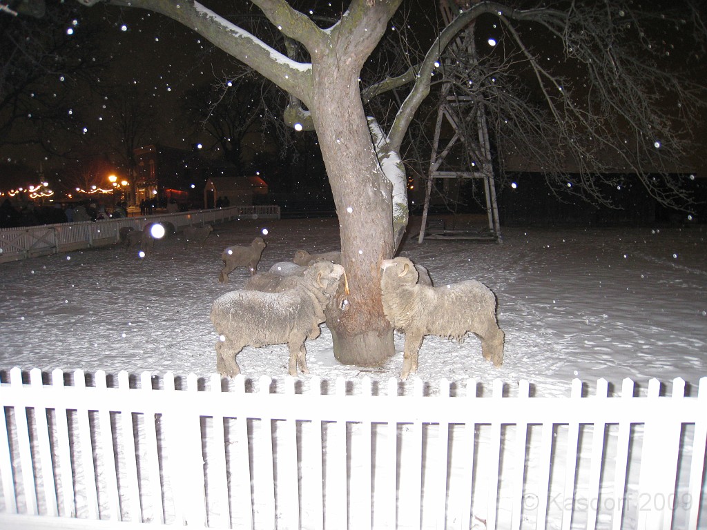 Henry Ford Christmas 2009 014.jpg - The guys and gals are still trying their best to strip all the bark of the tree.